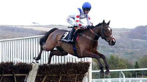 hermes cheltenham|Ballymore Novices' Hurdle: Hermes Allen 8/1 for Cheltenham .